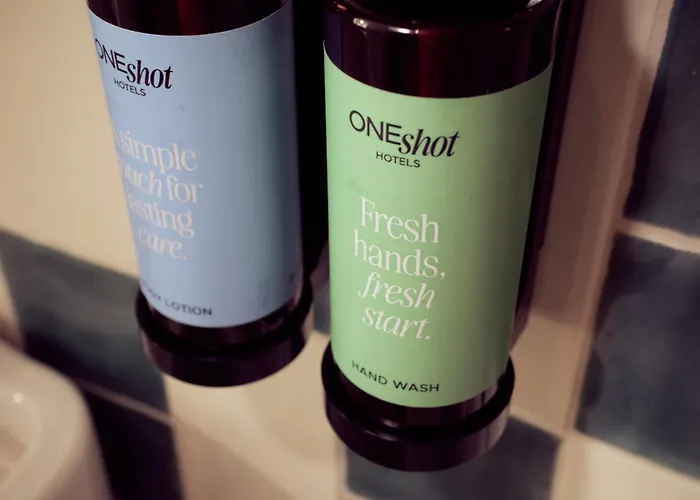 One Shot Palacio Cedofeita Porto